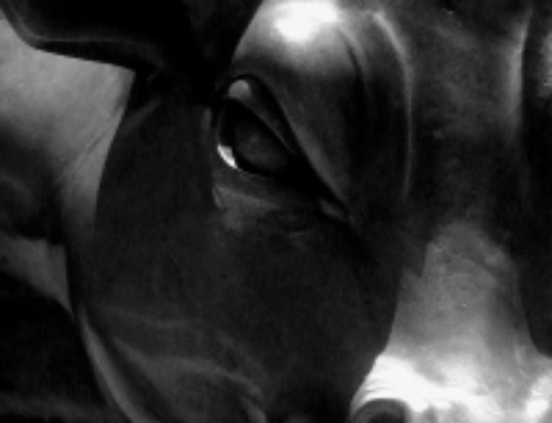 Low Tides, Tough Times and Tuning up your Market Proposition.